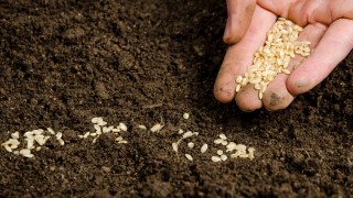 Serving and Giving Logo